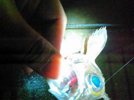 イソメ？小雨？そんなの関係ねぇの巻